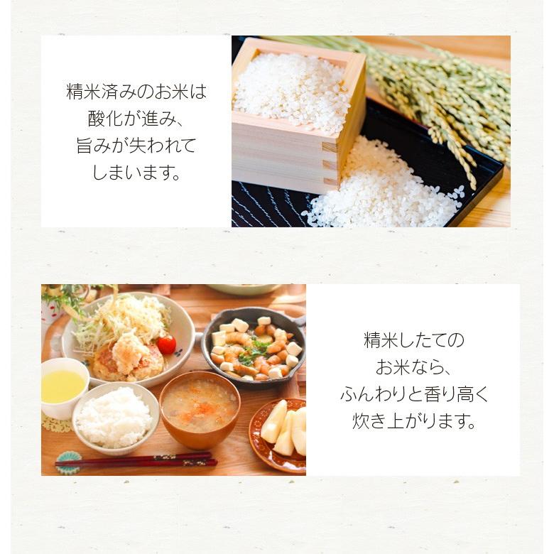 IRIS OHYAMA 精米機 家庭用 家庭用精米機 無洗米 精米 米精米機 IRIS OHYAMA 精米機 家庭用 家庭用精米機 無洗米 精米 米精米機