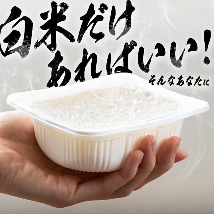 IRIS OHYAMA（アイリスオーヤマ） パックご飯 120g 10食 ご飯パック