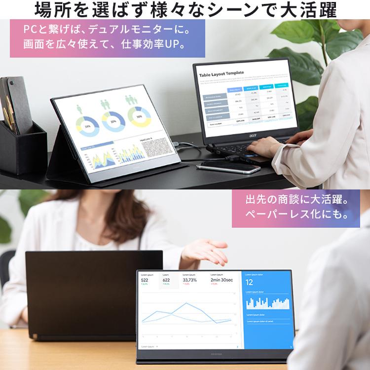 IRIS OHYAMA ポータブルモニター ILD-A1616MS-B ブラック