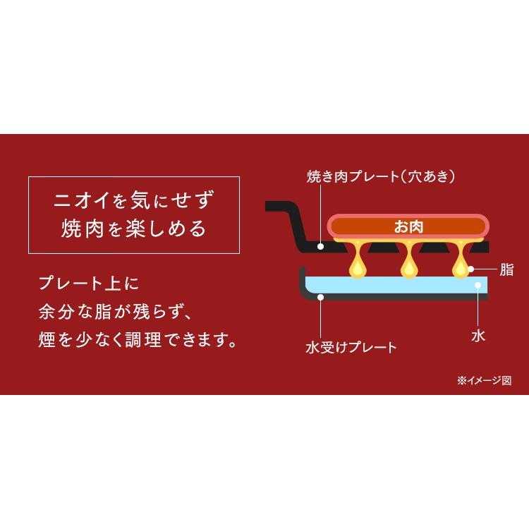 IRIS OHYAMA（アイリスオーヤマ） 網焼き風ホットプレート（2枚） APA