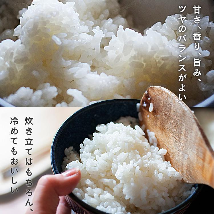 お米  白米  うるち米  和の輝き  5kg  アイリスフーズ  アイリスオーヤマ  新生活｜sukusuku｜02