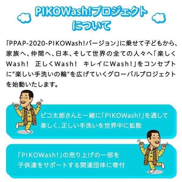 ハンドソープ 石鹸 固形石鹸 殺菌 消毒 ピコウォッシュ フローラルな