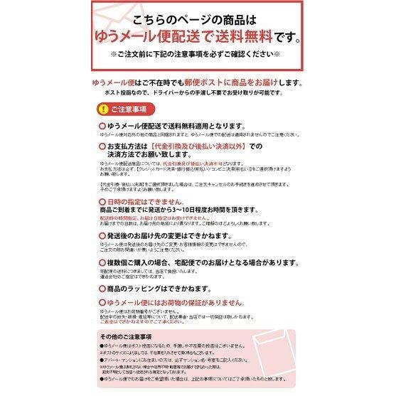 カイロ 貼る ミニ 貼るカイロ ミニ 40枚入り(代金引換不可・日時指定不可) (後払い決済不可)(MAIL) アイリスプラザ (D)【メール便】|sukusuku|02