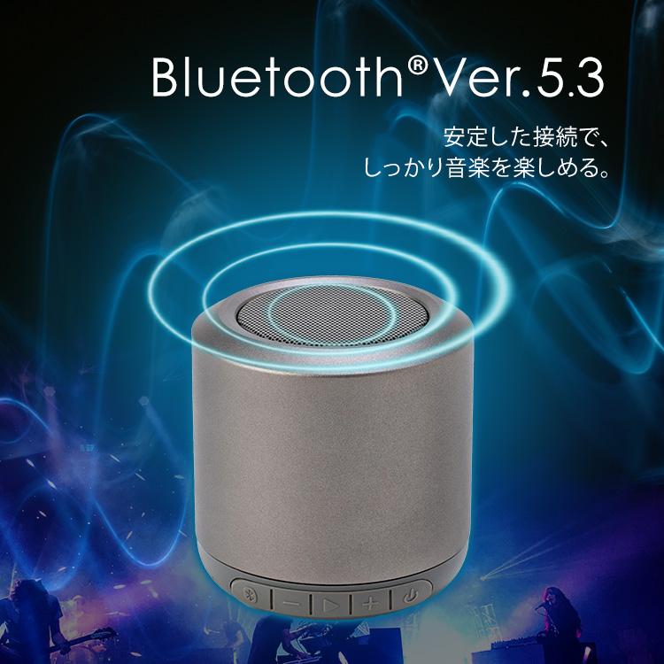 Bluetoothスピーカー  グレー  BTS-101-H  (D)  新生活｜sukusuku｜03