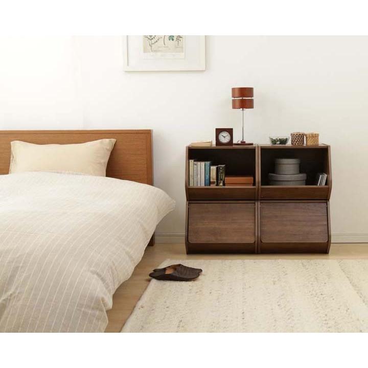 IRIS OHYAMA（アイリスオーヤマ） カラーボックス 収納 扉 おしゃれ