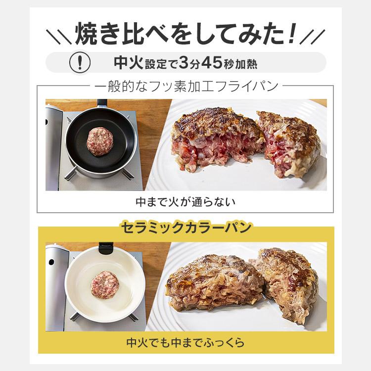 アイリスオーヤマ　セラミックカラーパン9点セット　I HOK.H・CC・SE9 アイリスオーヤマ セラミックカラーパン 9点セット H-CC-SE9 [レッド
