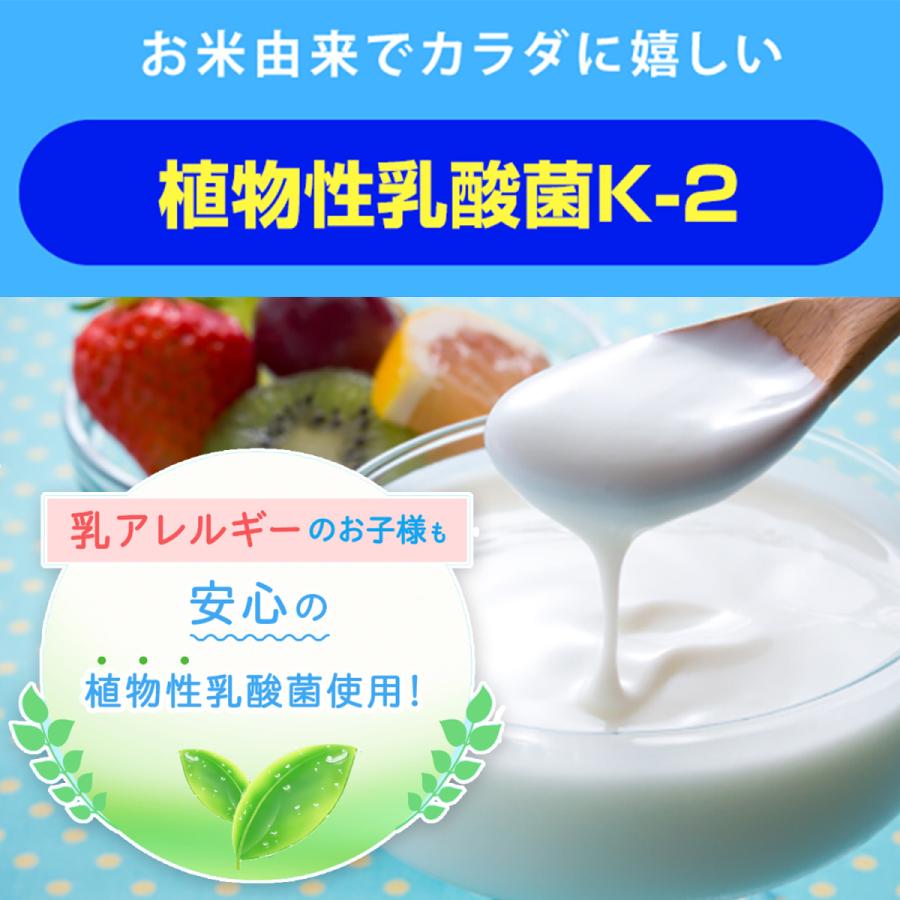 カルシウムグミ ヨーグルト 2箱セット60日分 子供 成長 栄養 サプリ