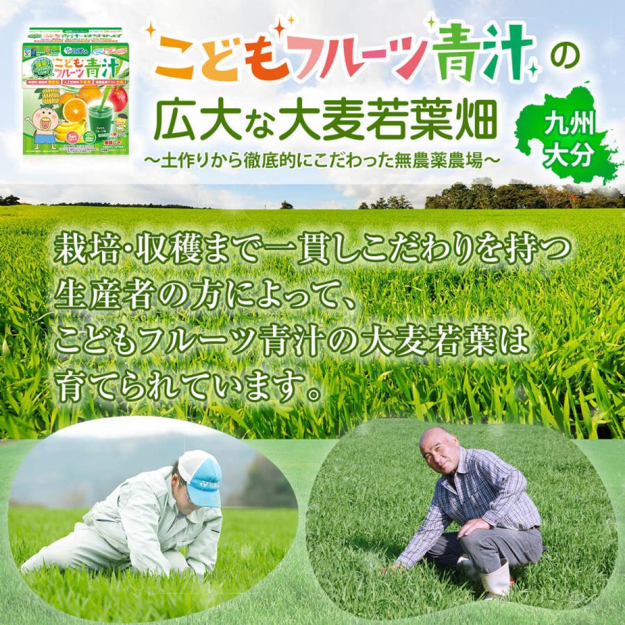 はなかっぱ監修 こどもフルーツ青汁 赤の恵み ベリーミックス味 2箱