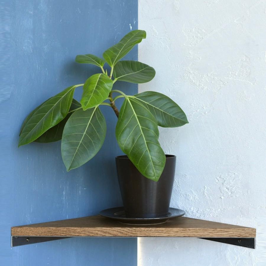 ウッドトップ コーナーシェルフ 【S M L】| SULK 国産 コーナーラック ウォールラック 棚受け 飾り棚 壁面収納 DIY アイアン 鉄 木製 日本製 送料無料 |  | 04