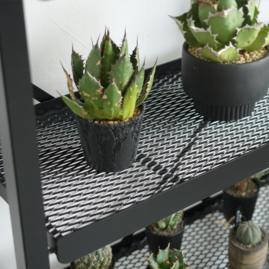 ボタニカルラック 耐荷重70kg グリーンラック 植物ラック ボタニカルラック 耐荷重70kg グリーンラック 植物ラック