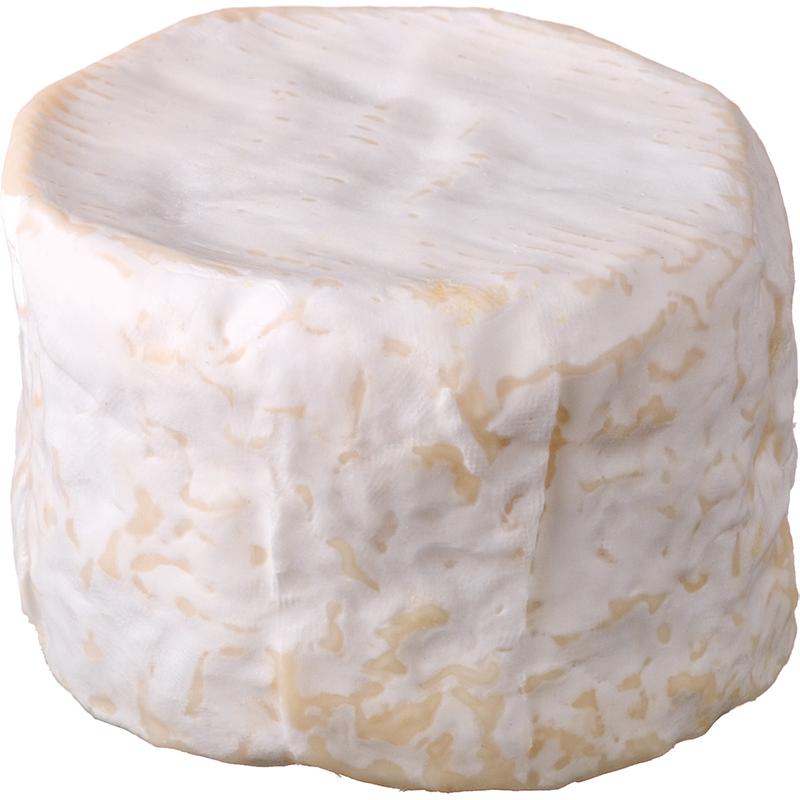 【チーズ】冷蔵　シャウルス　AOP　約250g (02730295) | 