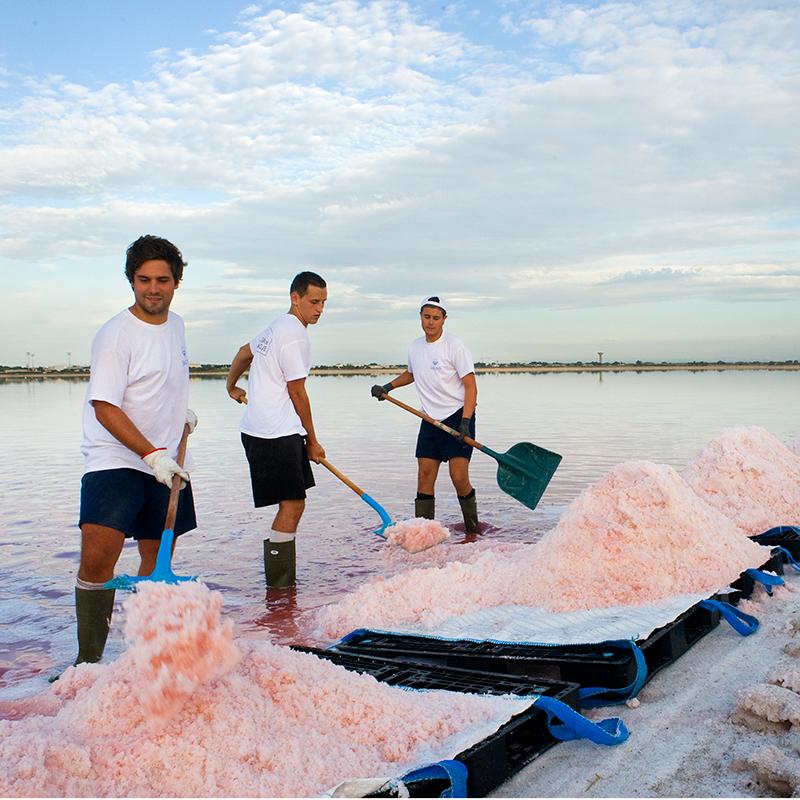 【CAMARGUE】カマルグ　フルール・ド・セル　40g (06802303） |  | 01