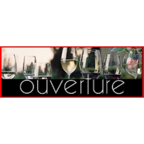 【リーデル】オーヴァチュア・シャンパン6408/48（Ｇ00617）2脚セット★送料￥1,100-申し受けます |  | 01