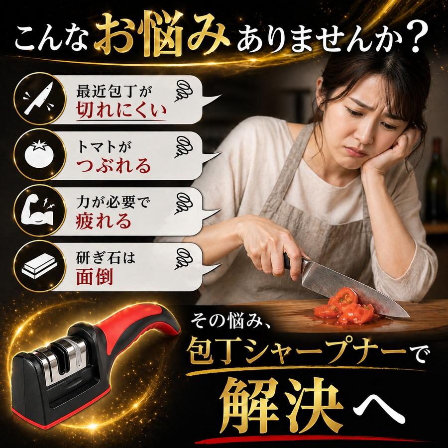包丁研ぎ器 包丁シャープナー コンパクト プロ用 ニトリ 業務用 補助具