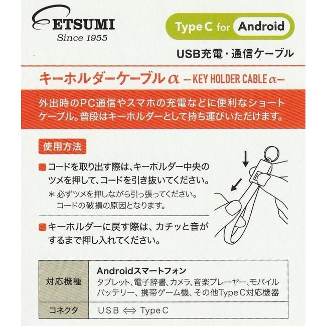 在庫処分 ETSUMI／エツミ 緊急時の予備●USB Type-C⇔USB 2A ケーブル 20cm  キーホルダ−型 ホワイト |  | 01