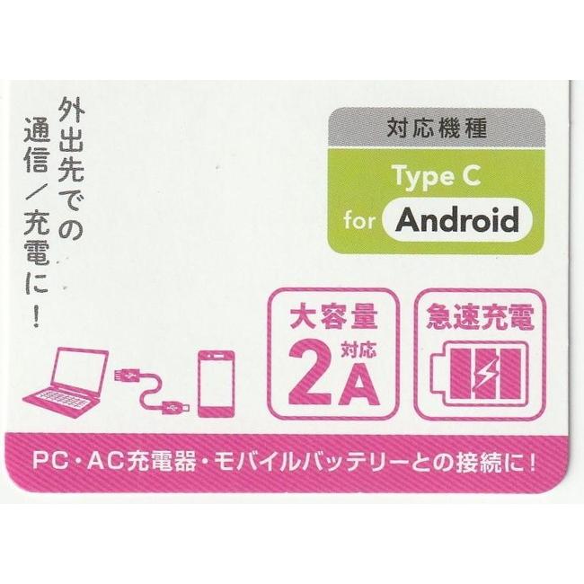 在庫処分 ETSUMI／エツミ 緊急時の予備●USB Type-C⇔USB 2A ケーブル 20cm  キーホルダ−型 ホワイト |  | 02