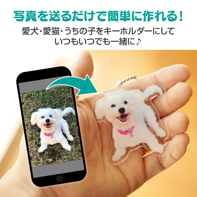 アクリル キーホルダー ペット 写真 アクキー 犬 猫 ねこ 家族 アクリル キーホルダー ペット 写真 アクキー 犬 猫 ねこ 家族