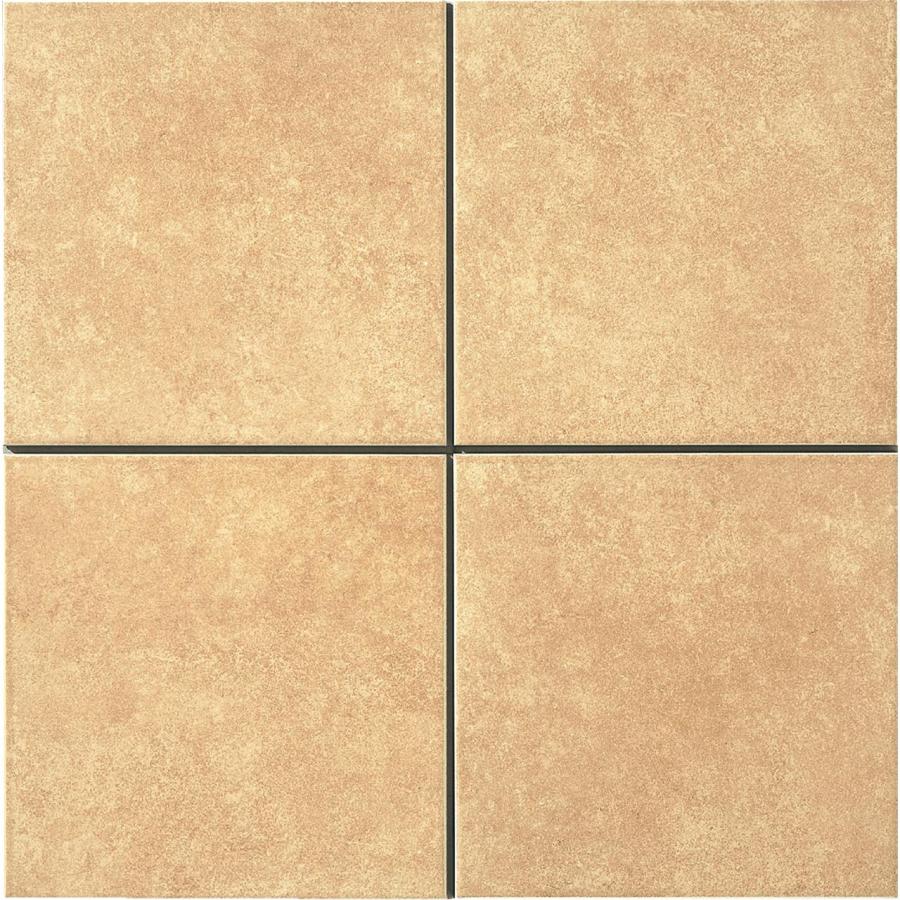 名古屋モザイク 床＆壁タイル ネイチャーII 300角平 12枚/箱 MSY-R3010