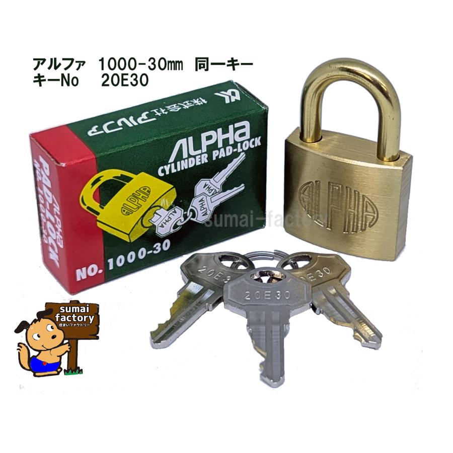 アルファ ALPHA 南京錠 1000-30mm 同一キー 20E30 同鍵No 関西No
