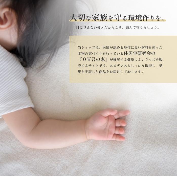 CMC 【バックストーム】置くだけで電磁波対策、自宅がパワースポットに！！