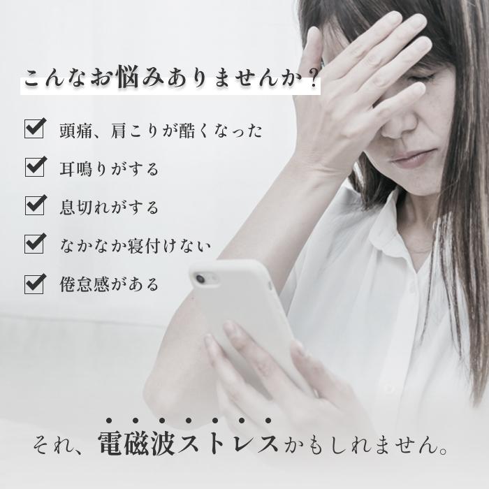 バックストーム 0宣言の家 地磁場 電磁波 対策 α波 車内 オフィス