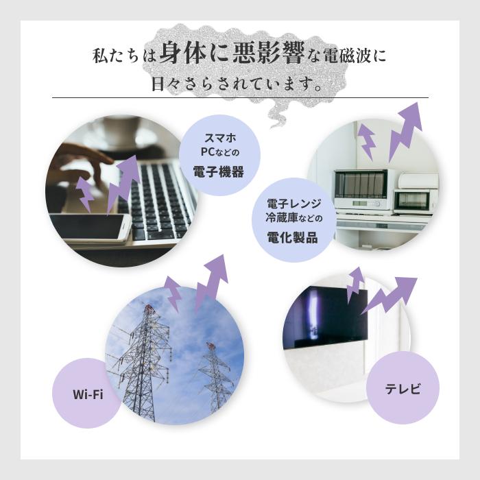 バックストーム 0宣言の家 地磁場 電磁波 対策 α波 車内 オフィス