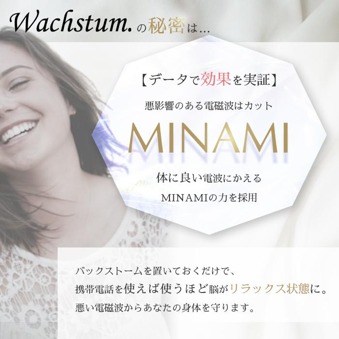 CMC 【バックストーム】置くだけで電磁波対策、自宅がパワースポットに！！