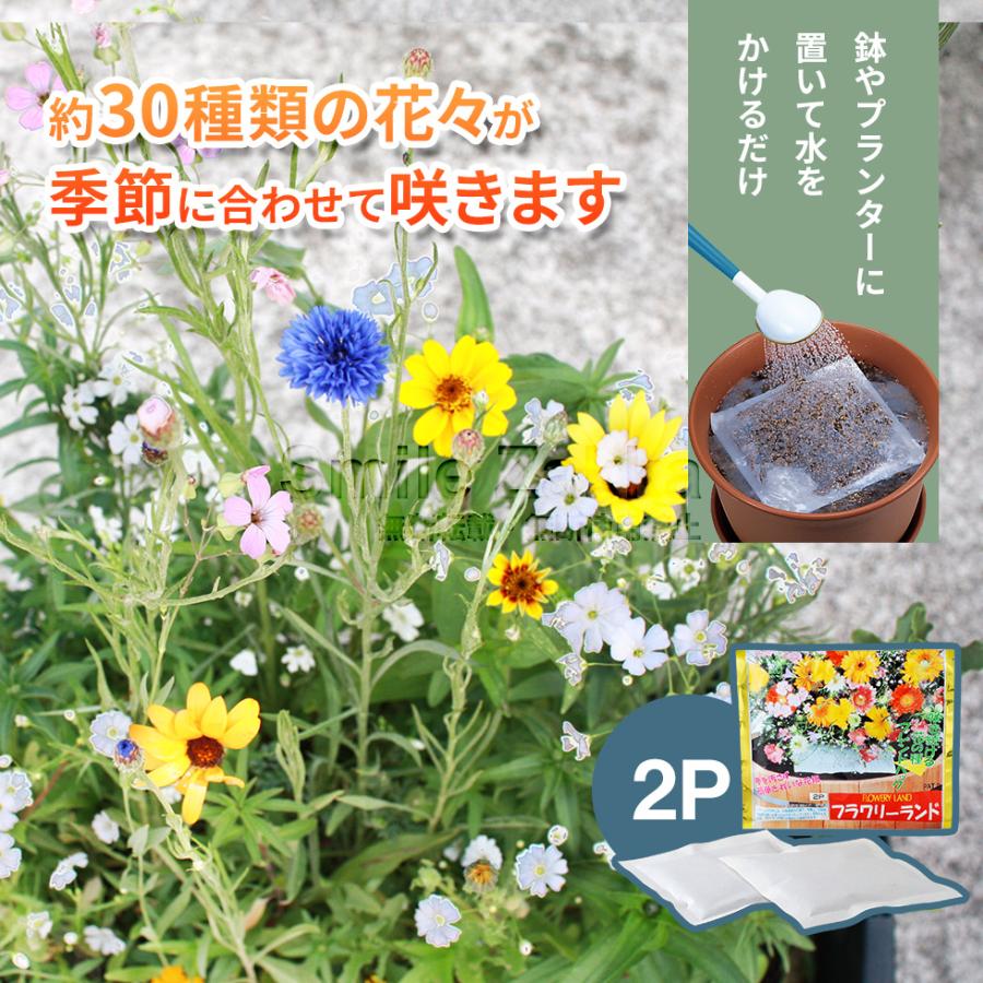 フラワリーランド(2パック) ガーデニングに 爆買 : アーネスト公式
