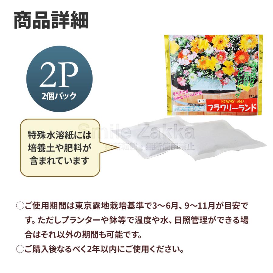 フラワリーランド(2パック) ガーデニングに 爆買 父の日 : アーネスト