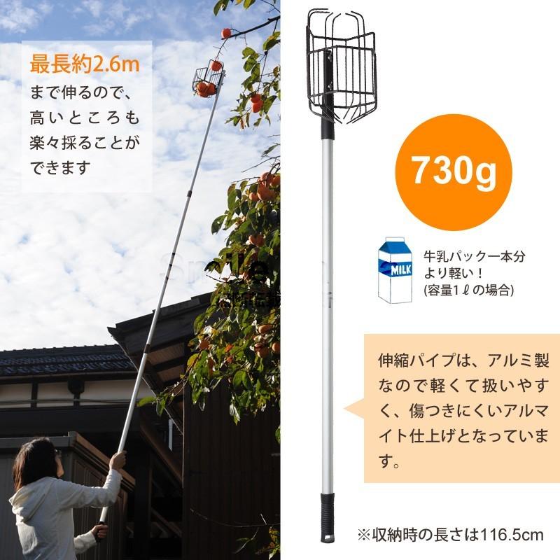 お庭の柿採りバスケット 柿取り棒 柿取り器 柿とり かきとりばすけっと 