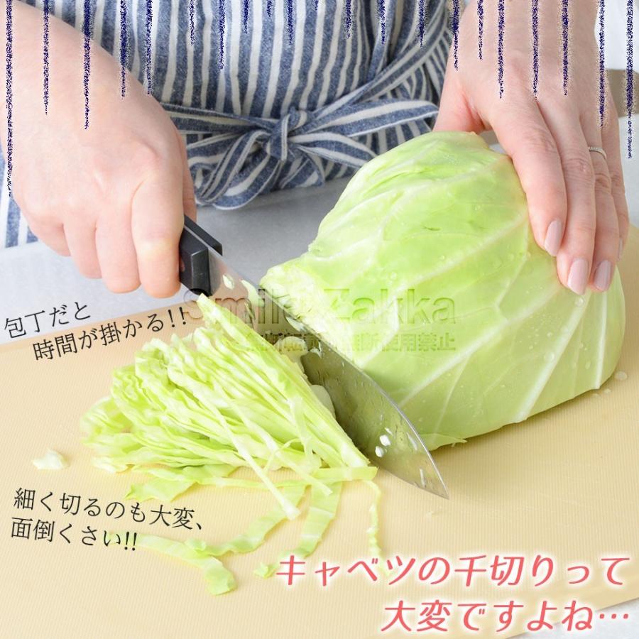 アーネスト キャベックシェフ 送料無料キャベツ キャベツの アーネスト キャベックシェフ 送料無料キャベツ キャベツの