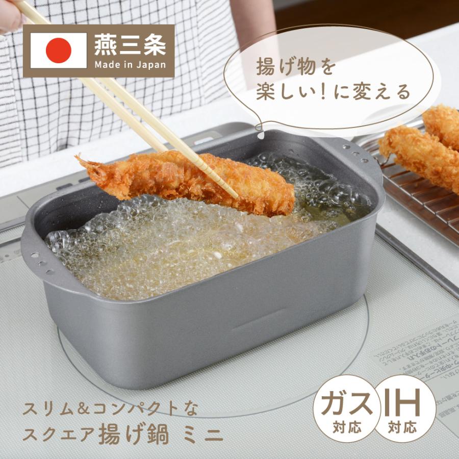 アーネスト（Arnest） ミニ揚げ物鍋 スクエア 揚げ鍋 天ぷら鍋 揚げ物