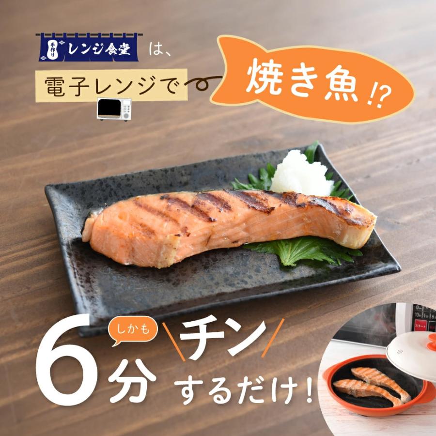 【新品未使用】手作りレンジ食堂 レシピ付 アーネスト 電子レンジ専用調理器具 アーネスト（Arnest） 電子レンジ調理器 手作りレンジ食堂 焼く 焼き魚