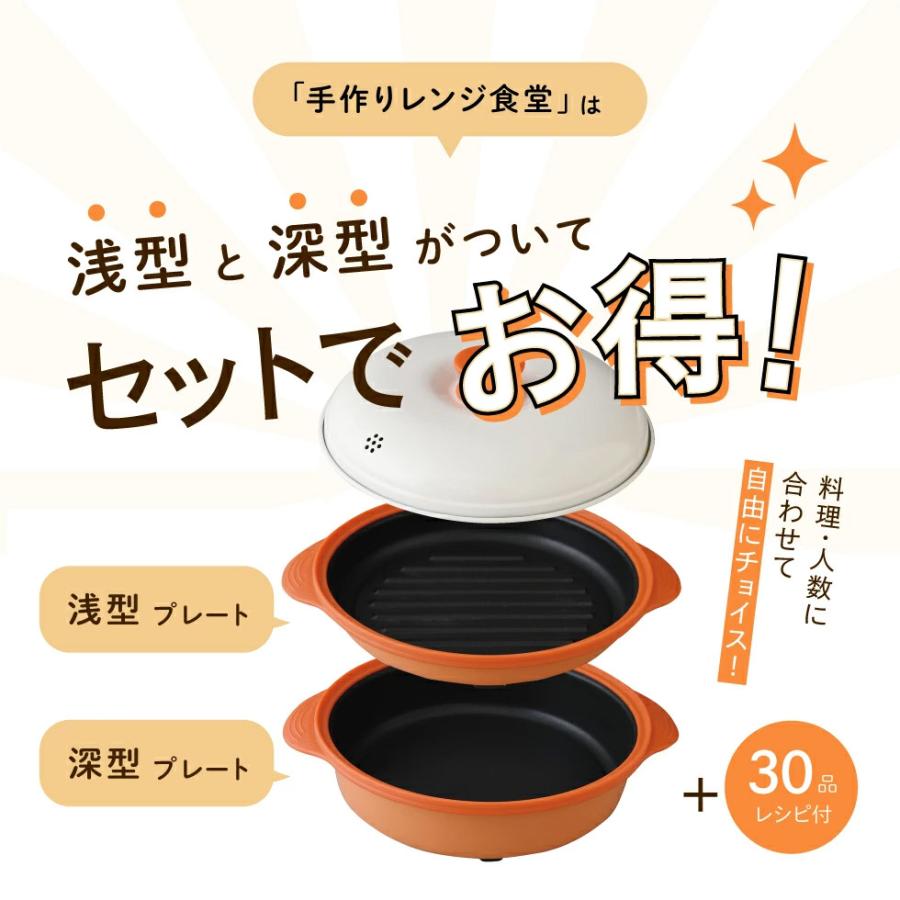 アーネスト（Arnest） 電子レンジ調理器 手作りレンジ食堂 焼く 焼き魚