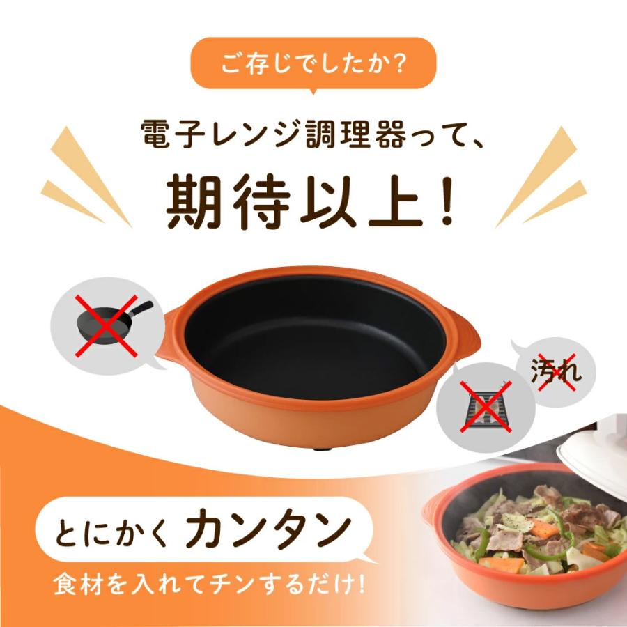 アーネスト（Arnest） 電子レンジ調理器 手作りレンジ食堂 焼く 焼き魚