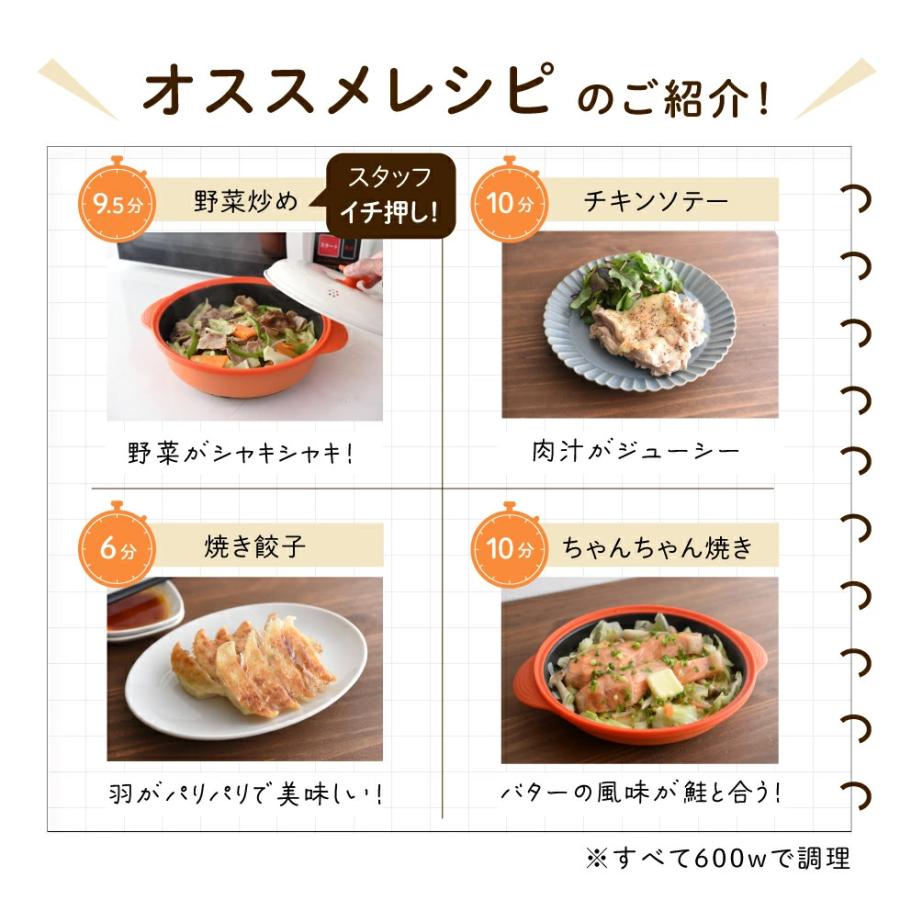 アーネスト（Arnest） 電子レンジ調理器 手作りレンジ食堂 焼く 焼き魚