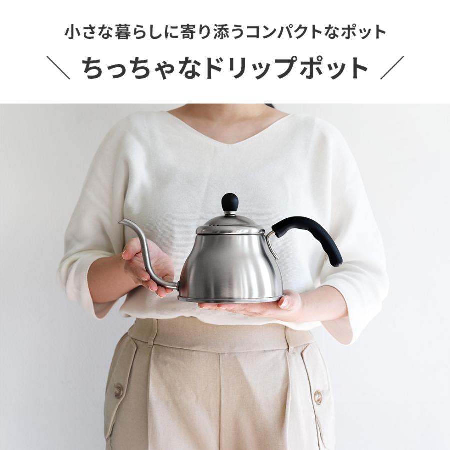 アーネスト（Arnest） ちっちゃなポット 0.6L ドリップポット 注ぎ口