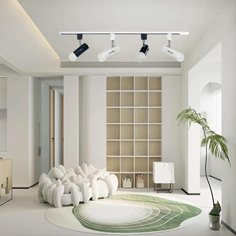 スポットライト ダクトレール用 配線ダクトレール レールライト照射