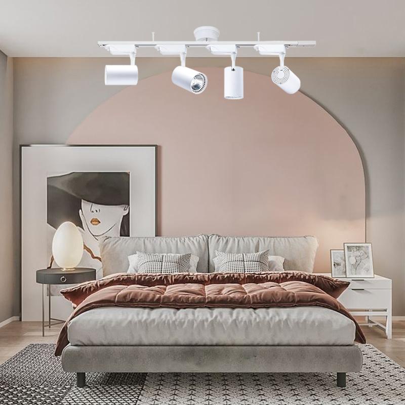 シーリングライト4灯 スポットライト付き 配線ダクトレール用 スポット