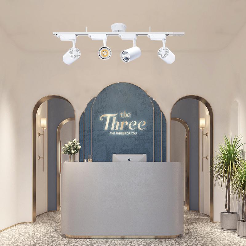 シーリングライト4灯 調光器対応スポットライト付き 配線ダクトレール