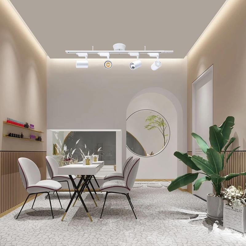 シーリングライト4灯 調光器対応スポットライト付き 配線ダクトレール