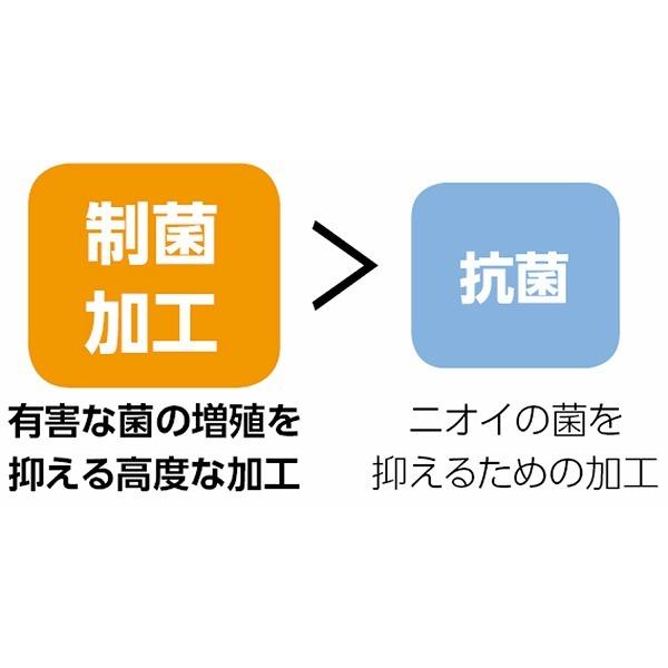 制菌マット 80cm×120cm 抗菌 菌 抑制 玄関 | ブランド登録なし | 03