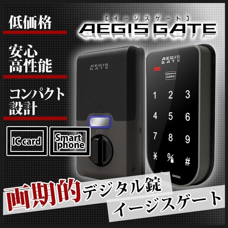 新品！AEGIS GATE AG-01 空き巣対策 楽天市場】【5/9 20:00〜 全品P10倍】AEGIS GATE AG-01 取替え型