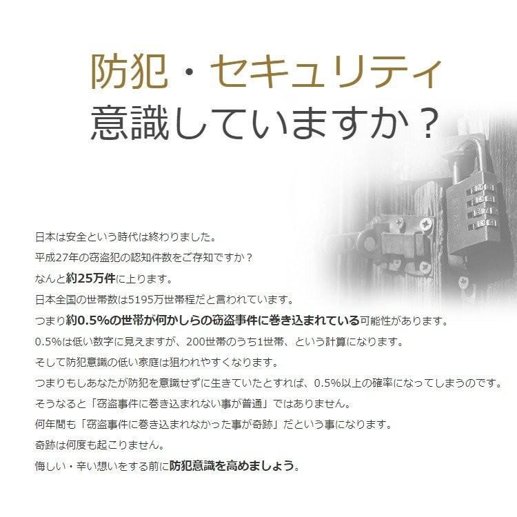 電子錠 AEGIS GATE イージスゲート マンション管理 防犯 ピッキング