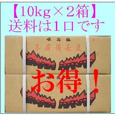 (10ｋｇ×２箱)で１口　大鋸炭　B　(10ｋｇ)　中国産　四角形 | 