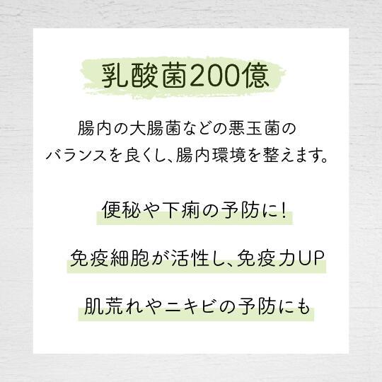 菌活サラダ 【1袋】30包入 腸活 腸内環境 ダイエット 青汁 乳酸菌 200
