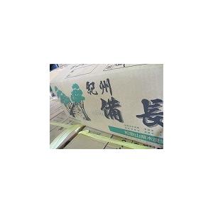 紀州備長炭　上小丸　15kg｜sumi-kurasishop