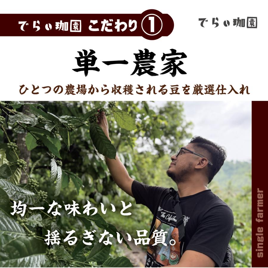 初回限定価格 コピルアク コーヒー豆 ベトナム産100g 直輸入｜送料無料