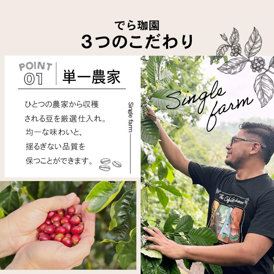 初回限定価格 コピルアク コーヒー豆 ベトナム産100g 直輸入｜送料無料
