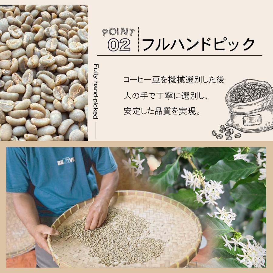 初回限定価格 コピルアク コーヒー豆 ベトナム産100g 直輸入｜送料無料